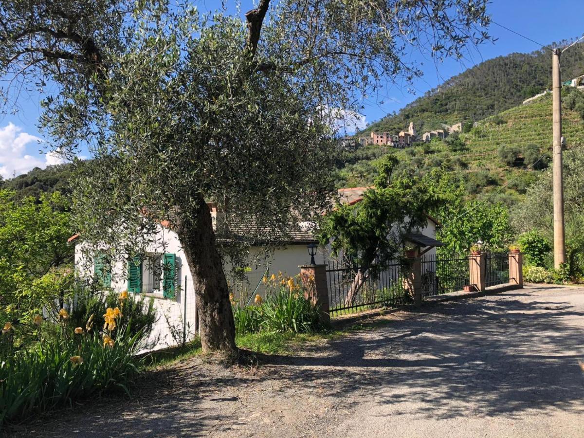 Dolcevia Apartamento Levanto Exterior foto